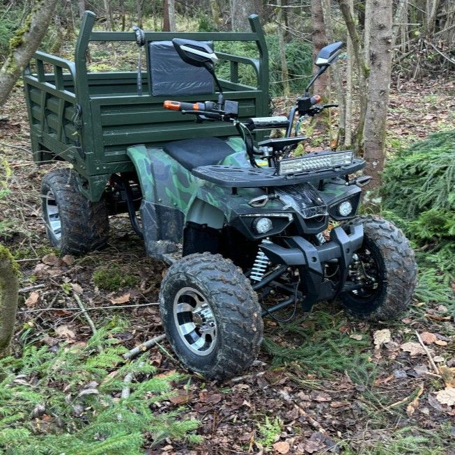 Квадроцикл грузовой GreenCamel Сахара A015 (72V 1500W R10alum) пониженная